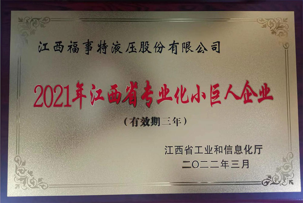 2021年江西省专业化幼巨人企业